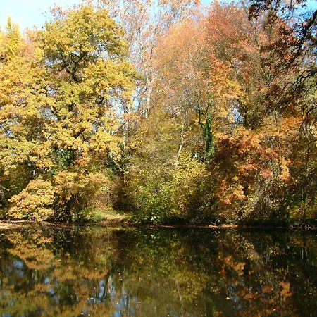 Ensana Thermal Sarvar-2